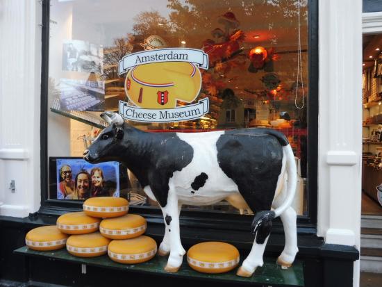 Free cheese samples! - Review of Amsterdam Cheese Museum ...