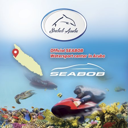 Even I could do it! - Review of Seabob Aruba, Noord, Aruba ...